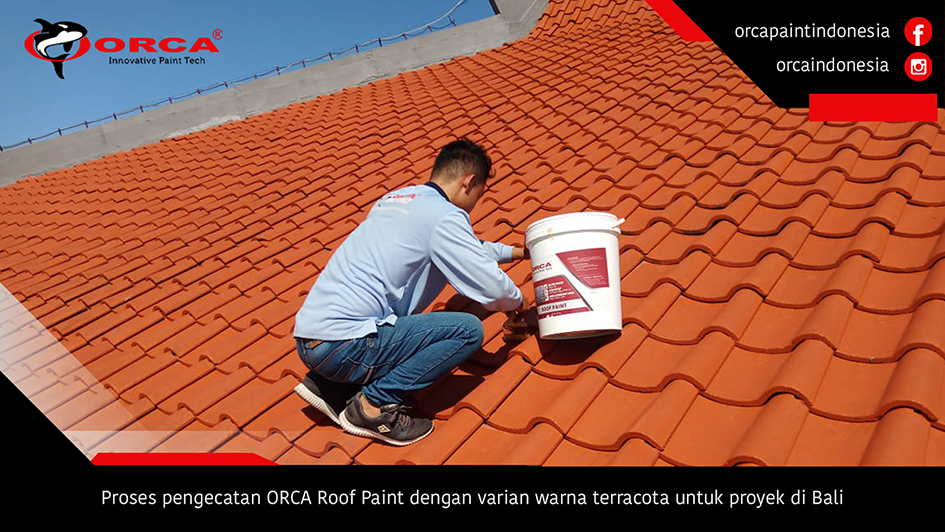 ORCA Roof Paint